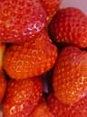 🍓