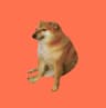WDOGE